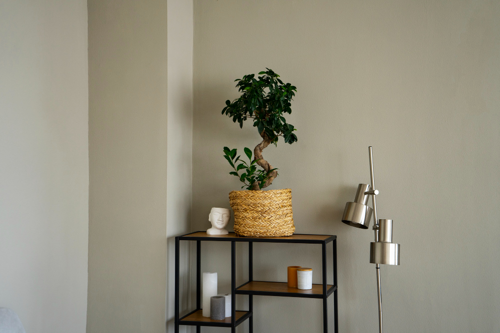 Minimalismo